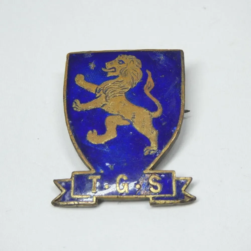 TGS Takapuna Grammar School New Zealand Lion Shield Pin Blue Enamel Vintage